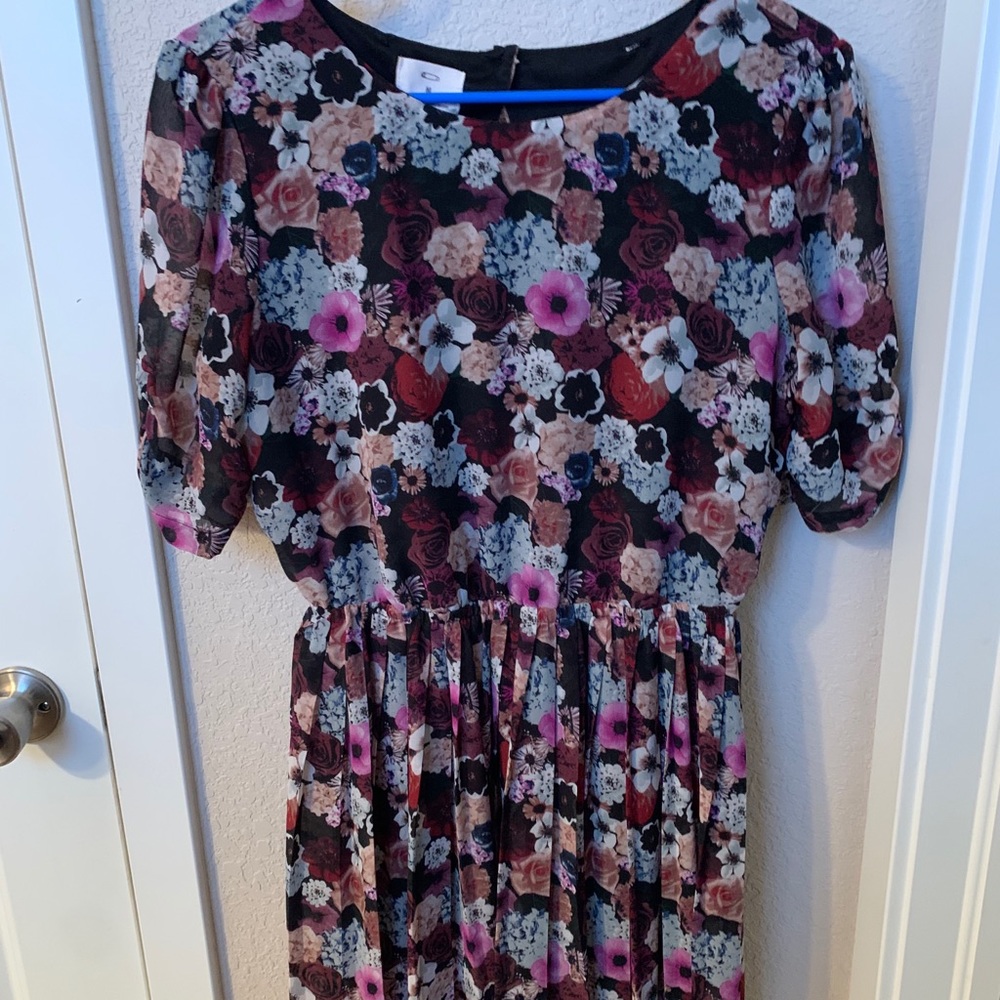 Sheer Hipster Style Mid-Length Floral Dress